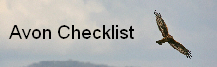 wp07ead834.png