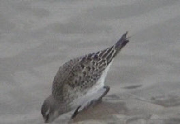 wp0d776bb6_0f.jpg