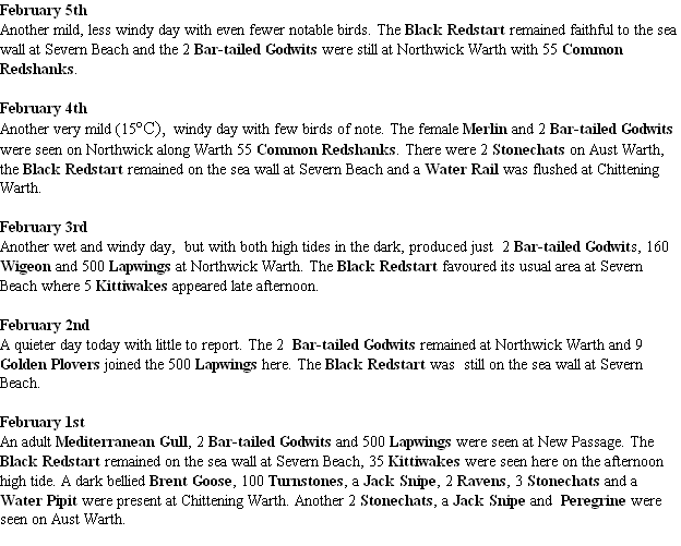 wp12b8d98b.png