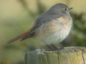 wp22b0662b_0f.jpg