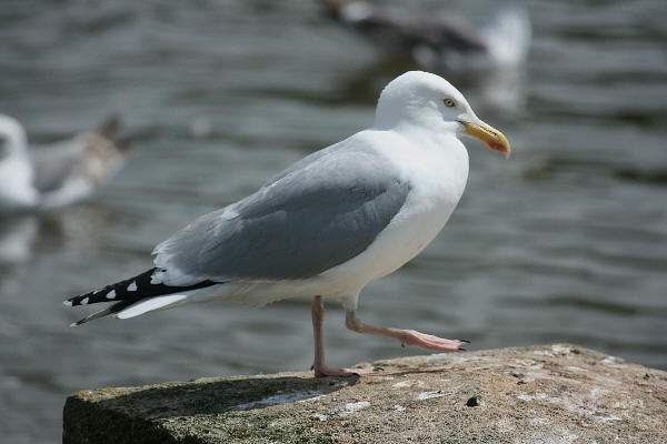 wp2b01dd9a.jpg