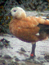 wp44012c9c_0f.jpg