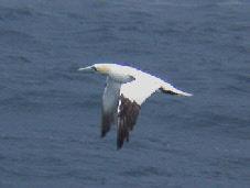 wp50d5f1ea_0f.jpg