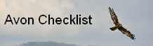 wp55a0b4d0.png