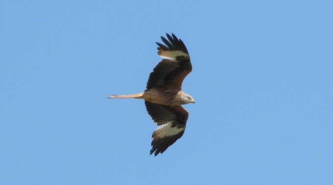 wp634f8e26.jpg