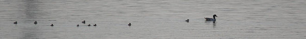 wp6374e13b_0f.jpg