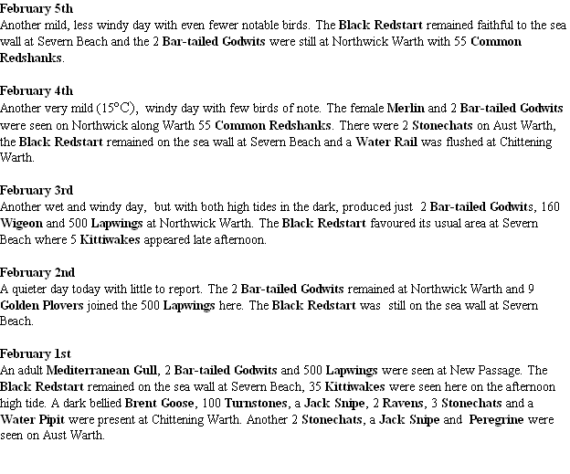 wp7506140d.png