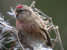 wp7b61002c_0f.jpg