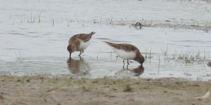 wpc0f31640.jpg