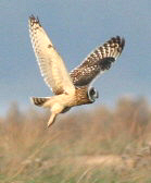 wpd6312536.jpg