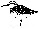 wpd88f8868_0f.jpg